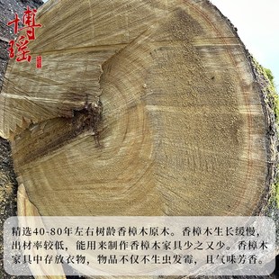 香樟木原木实木放鞋 储物 柜防虫除臭玄关柜家用门口两三四门新中式