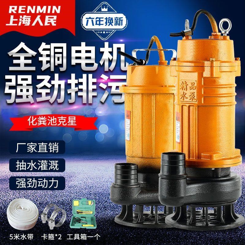 污水泵220V小型家用化粪池抽水泵沼气池抽水高扬程抽粪排污泵2寸