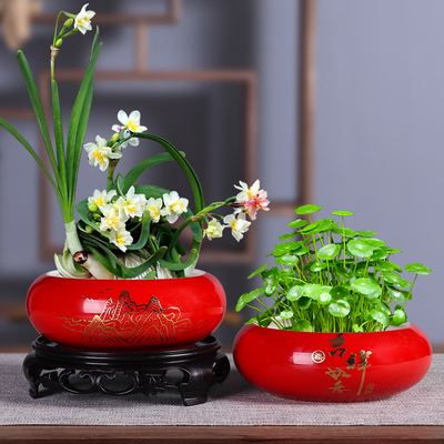 水仙花盆陶瓷无孔水培盆家用中国红碗莲铜钱草一叶莲盆大号专用盆