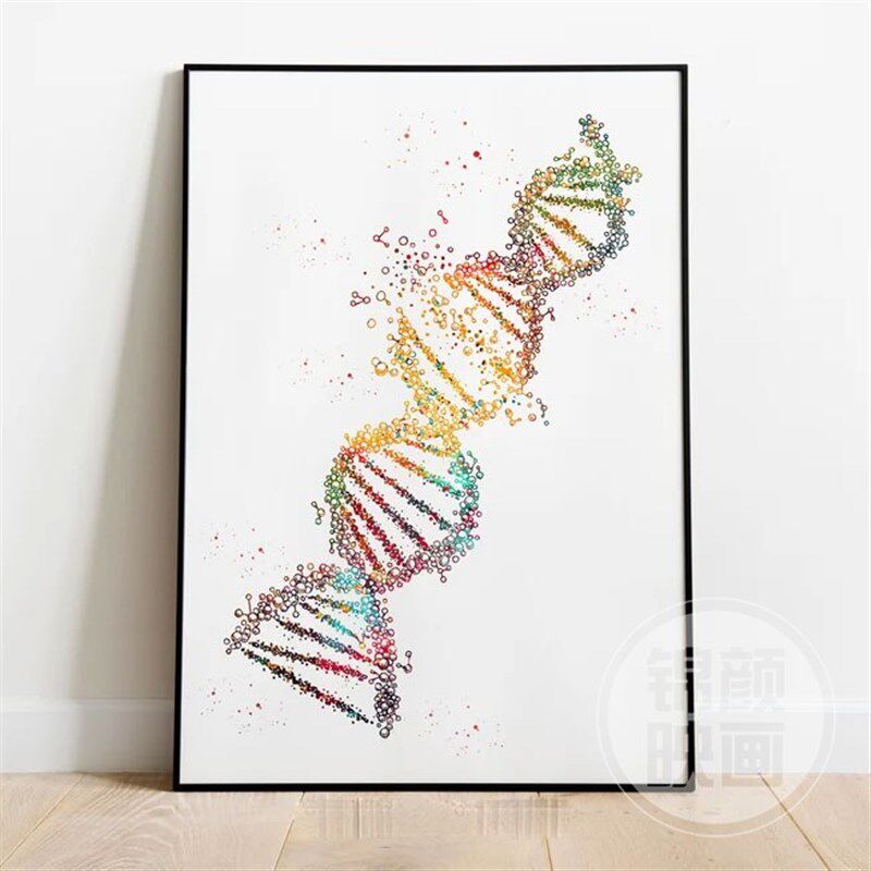DNA双螺旋生物医学装饰画 细胞染色体有丝分裂遗传学科学科普挂画