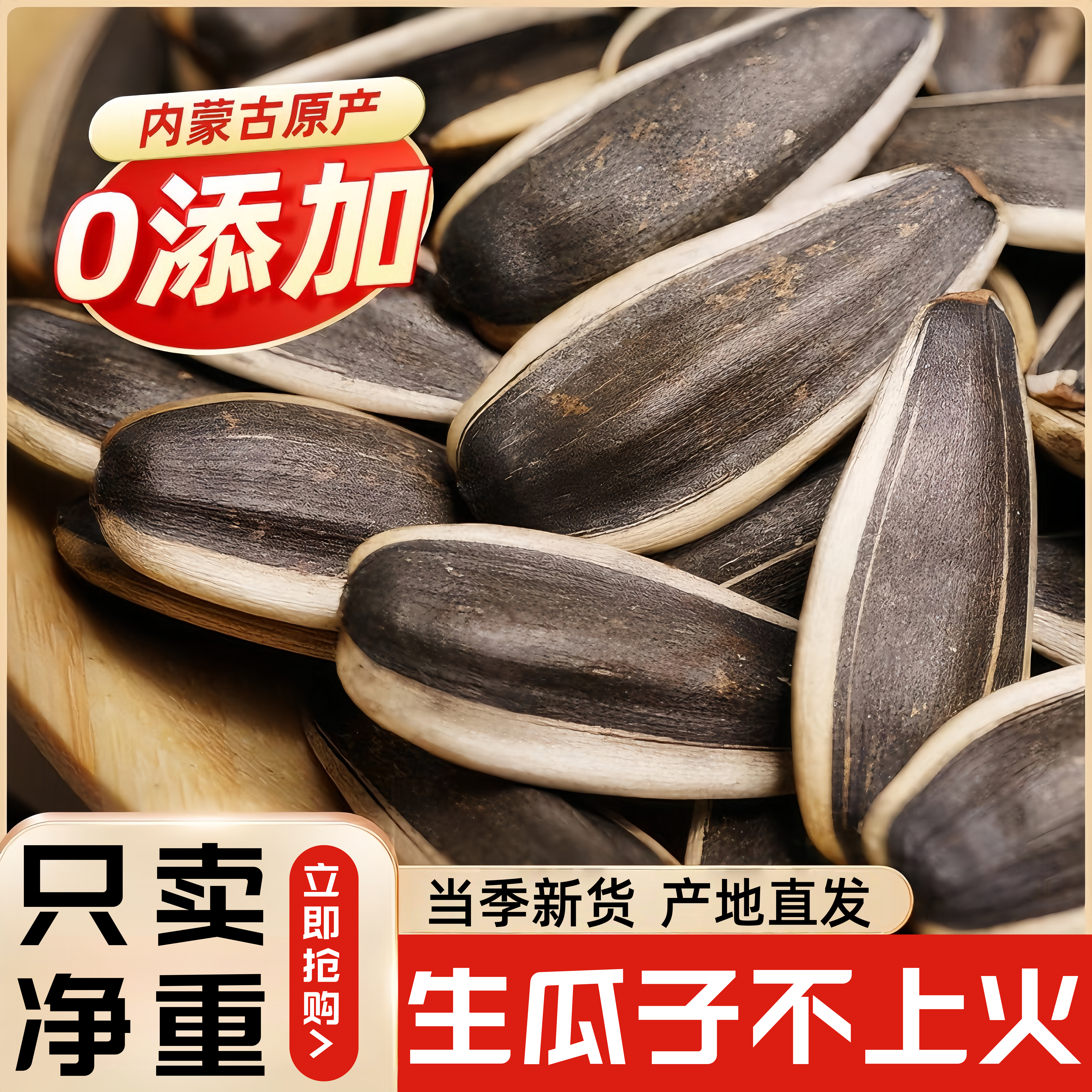 内蒙古新鲜生葵花籽特大颗粒