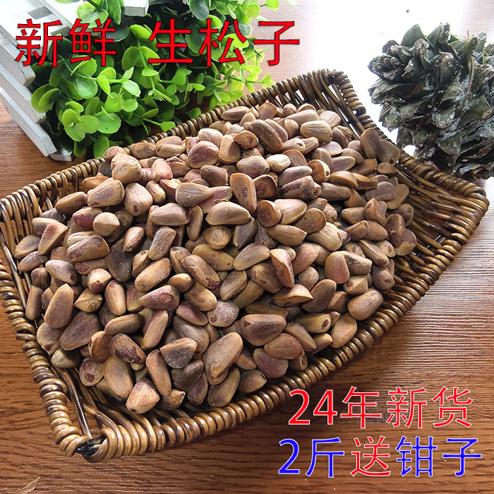 速发松子松子新货东北特产野生特大新鲜红生原味不开口散装500g送