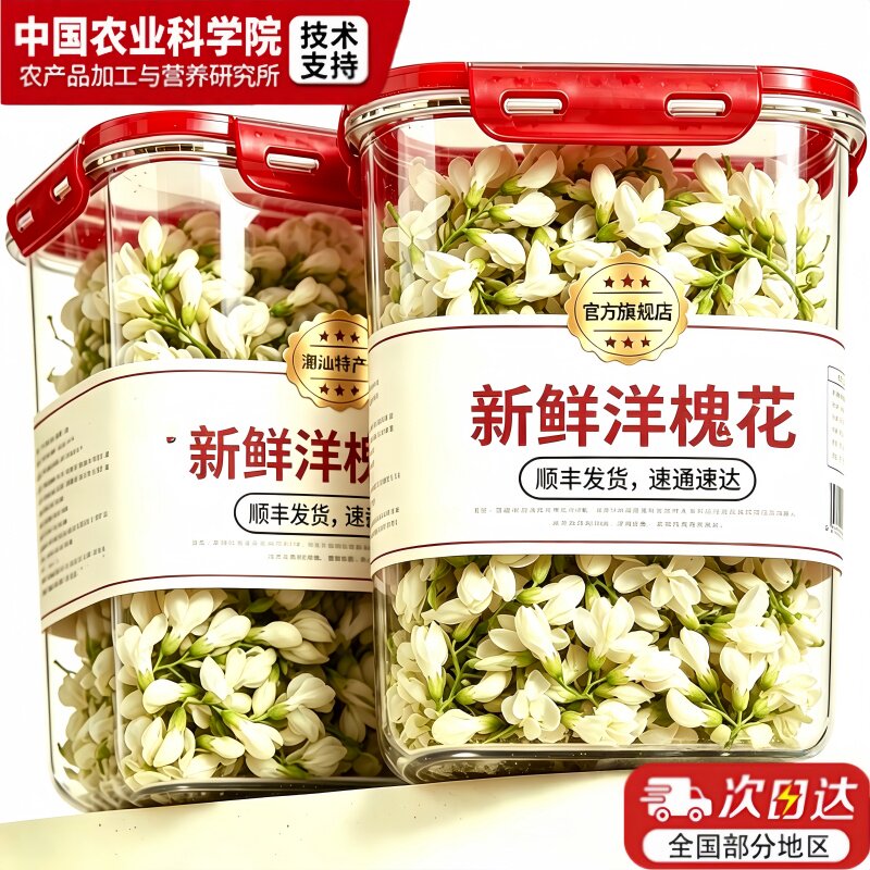 洋槐花新鲜现摘2026应当季蔬菜野菜刺槐米杨槐花骨朵时令官方旗舰