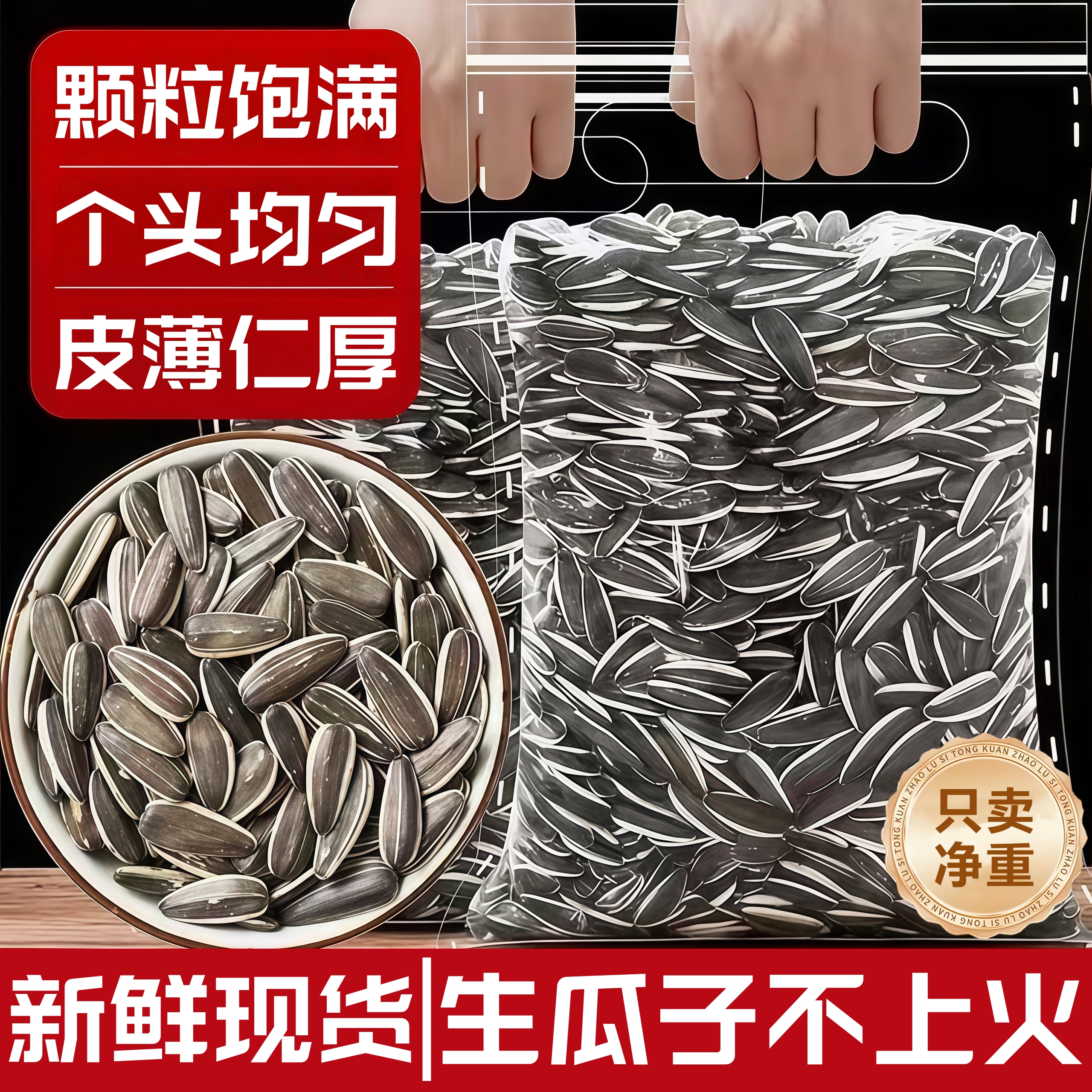 内蒙古新鲜生葵花籽特大颗粒