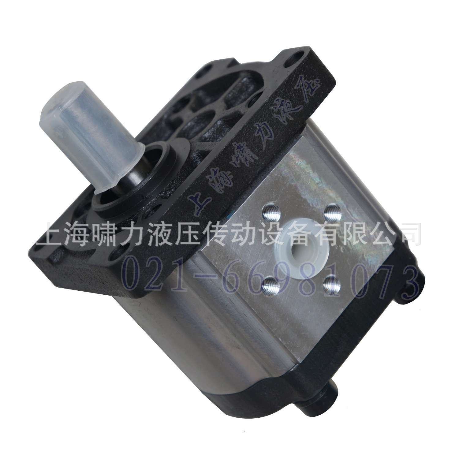 供应调直机液压泵，调直机铸铁电动齿轮泵 上海啸力CBTt-F312F3P7
