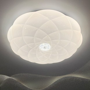 梵可灯饰奶油风主卧室吸顶灯现代简约房间艺术星空灯2024新款 灯具