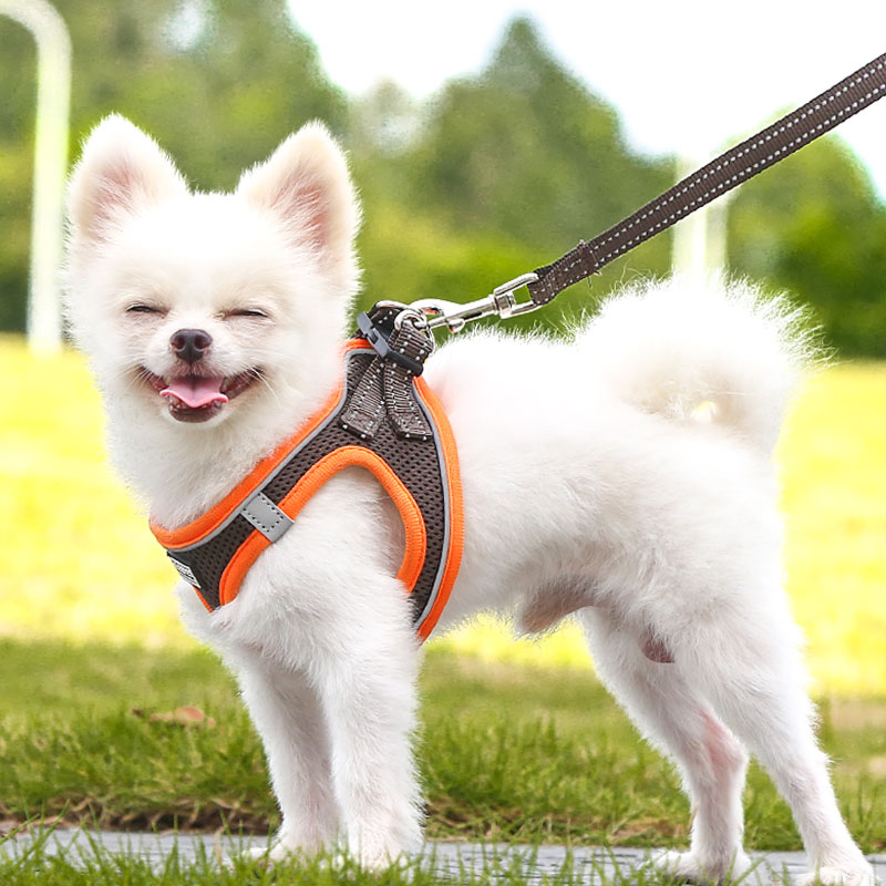 狗狗牵引绳小型犬泰迪博美狗绳子链子背心式宠物比熊遛狗绳夏天用