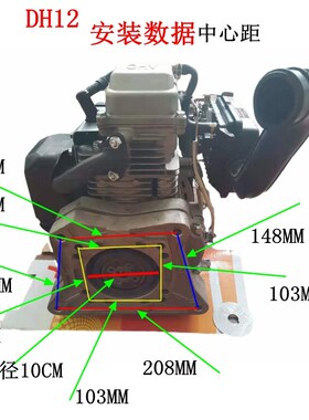 DINKING鼎工汽油冲击夯DK165-3 DH12发动机 149CC  4.0马力 手动