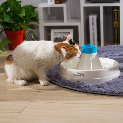 绿洲之光宠光宠物猫咪狗狗饮水机自动循环喝水器静音过滤芯棉活水