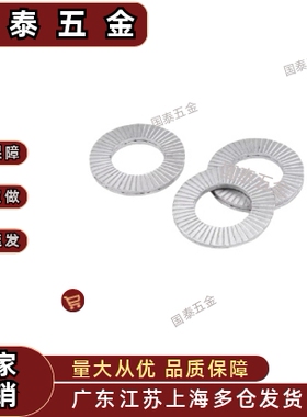 NLDF3/4/5/6/8/10/12/14/16/18/20/22/24/27/30/33不锈钢双叠垫圈