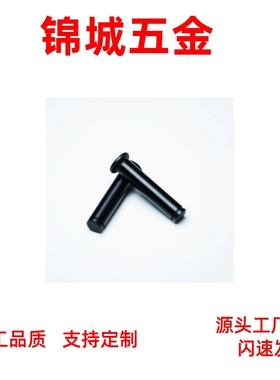 SHCCG SHCDG SHCCGH3 4 5 6 8 10-10 15 20 25 30CCG CCGH 铰链销