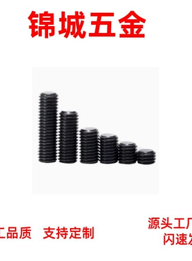 止动细牙螺丝STSCC10-40 STSCC10/12-40/45/50/55-80现货