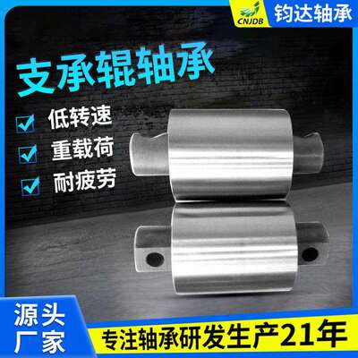 运输仓储支承辊轴承 JDZ55120234AV4不锈钢混合衔接深沟球轴承