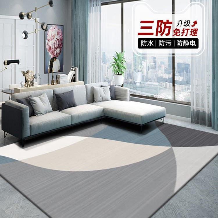 地毯客厅2024新款免洗可擦沙发地垫卧室感家用轻奢防水茶几毯