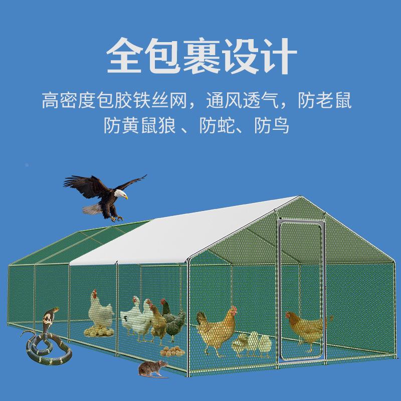 鸽子养笼鸡笼家用室鸡棚鸡笼子殖笼特大417户外外大养型鸡棚专用