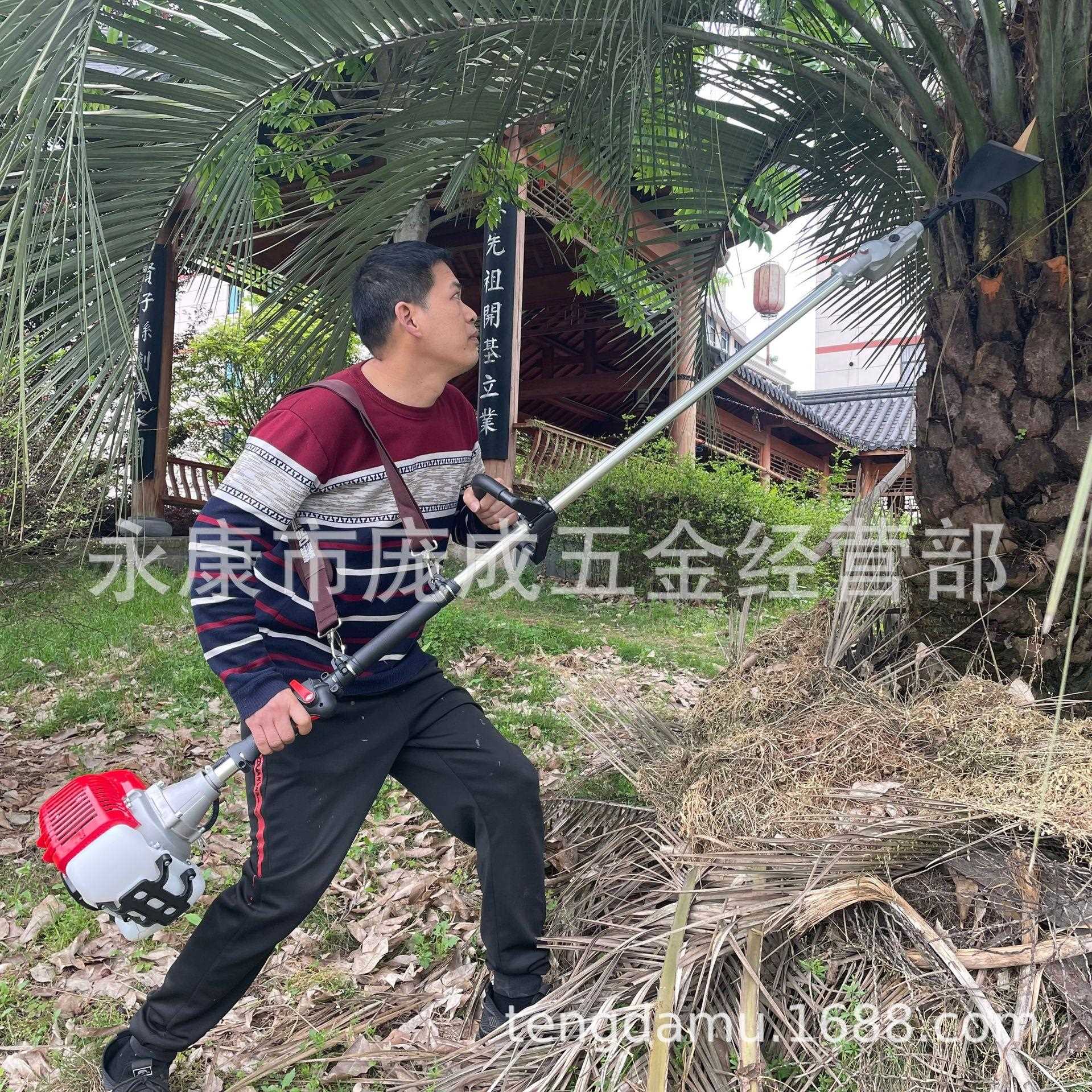 二冲程汽油棕榈机果长剪柄园林化棕榈绿树修机QPJ加长杆棕榈收获