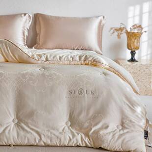 高奢桑维蚕丝大豆纤被芯家用双BGM春秋被子欧式提花加厚暖保冬人