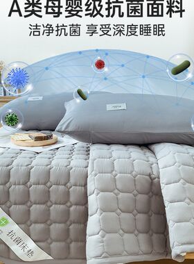 床垫软垫床褥垫褥子双人家用保护垫薄款防滑学生宿舍防滑垫四季款