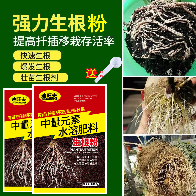 强力生根粉植物通用快速生根液壮苗剂营养液果树绿植扦插移栽肥料,鲜花速递/花卉仿真/绿植园艺,家庭园艺肥料,淘宝优惠券,粉丝福利购,淘宝优惠卷