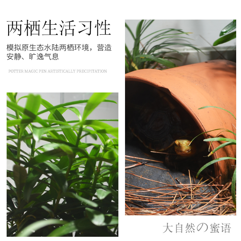 玻璃乌龟缸大型生态环境造景饲养缸养乌龟专用缸黄缘半水龟养殖箱