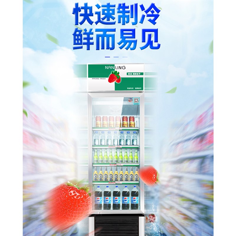 南凌立式玻璃门展示柜冷藏冰柜保鲜冰箱商用冷柜直风冷饮料柜饮品