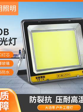 亚明LED投光灯大功率COB户外防水照明灯50w射灯泛光灯工程灯