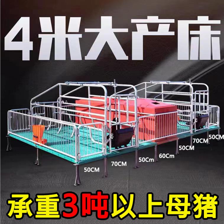 母猪产床老母猪产保一体两用产床保育床分娩床猪用产床养殖设备