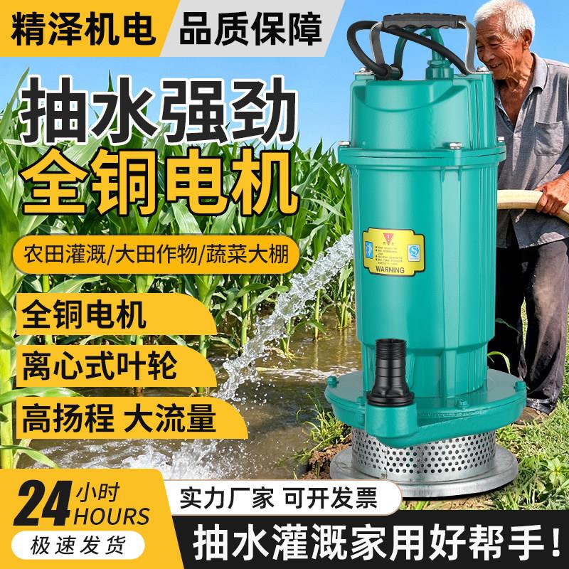 水泵抽水泵家用小型220v浇菜农用灌溉浇地高扬程潜水泵一寸大流量