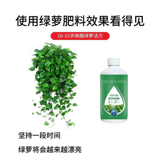 新款直销绿萝营养液通用型水养花植物水培绿萝营业液专用花肥料家