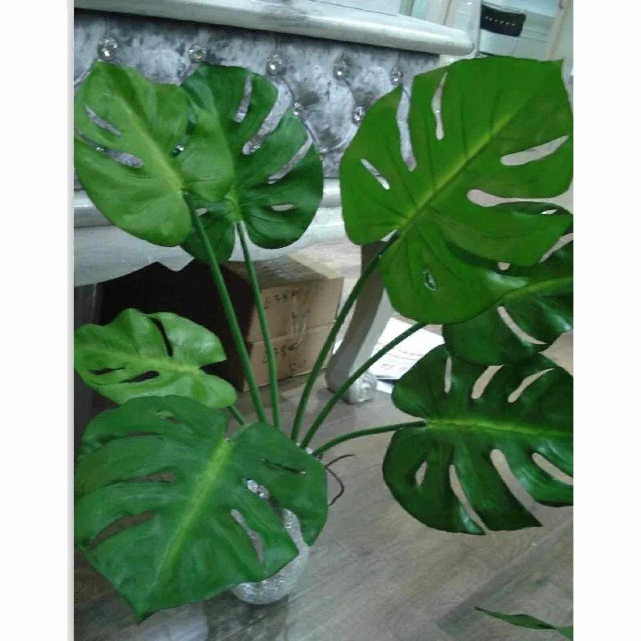 新款直销现货供应新型小龟背叶 仿真人造植物假树叶 仿真装饰植物