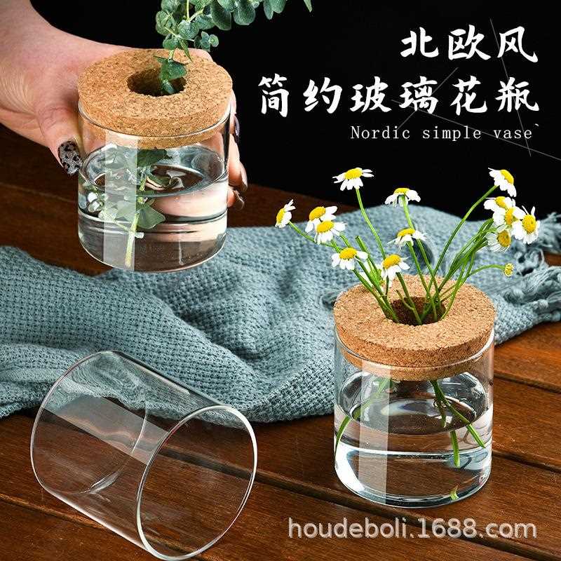 直销新款创意玻璃花瓶简约跨境多功能小花瓶微景观水培绿萝生态瓶