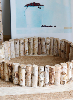 白桦木小栅栏室内花园庭院小篱笆装饰摆件微景观造景围栏实木户外