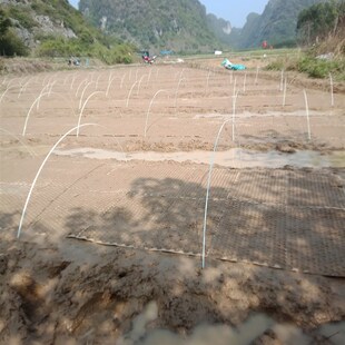 厂家4-9.5直销玻璃纤维棒新型拱棚支架蔬菜棚支架小弓棚