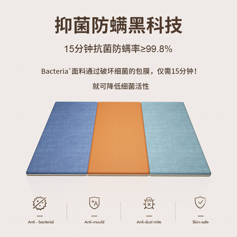 双面榻榻米床垫子定做椰棕乳胶踏踏米家用订做塌塌米垫子定制尺寸