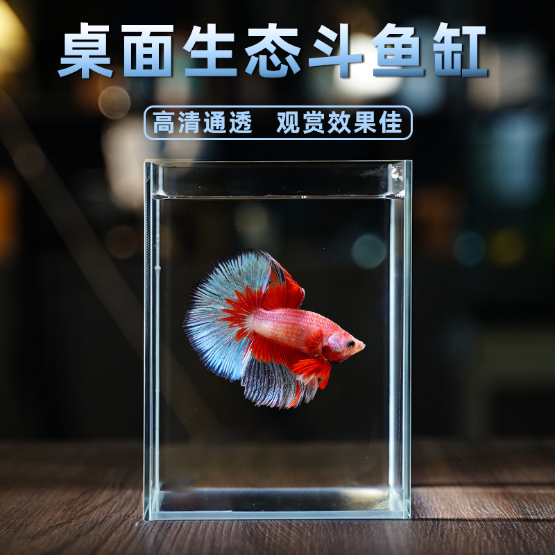 泰国斗鱼缸观赏鱼斗鱼专用鱼缸小型玻璃桌面办公室造景摆件全套