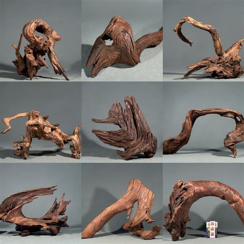 二马沉木  鱼缸沉木造景素材 大型小型沉木 福 利沉木 小号小型