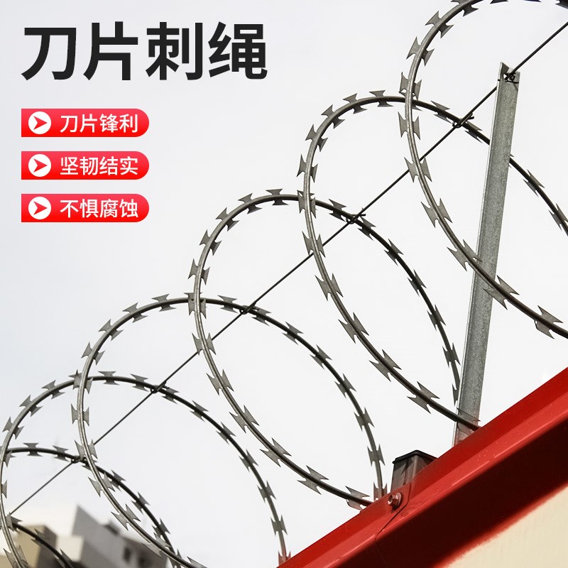 四川刀片刺绳防护网不锈钢刺丝滚笼网刺铁丝防盗防爬刺围墙防爬网