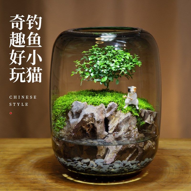 苔藓微景观鱼缸养鱼办公室内桌面鲜活绿植生态缸摆件成品盆景礼物