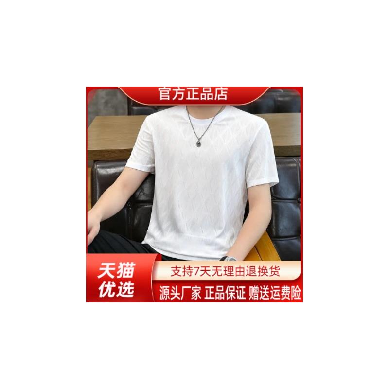 师凯服饰Amphelisia2026新款冰丝男士短袖潮流韩版T恤高级感男装