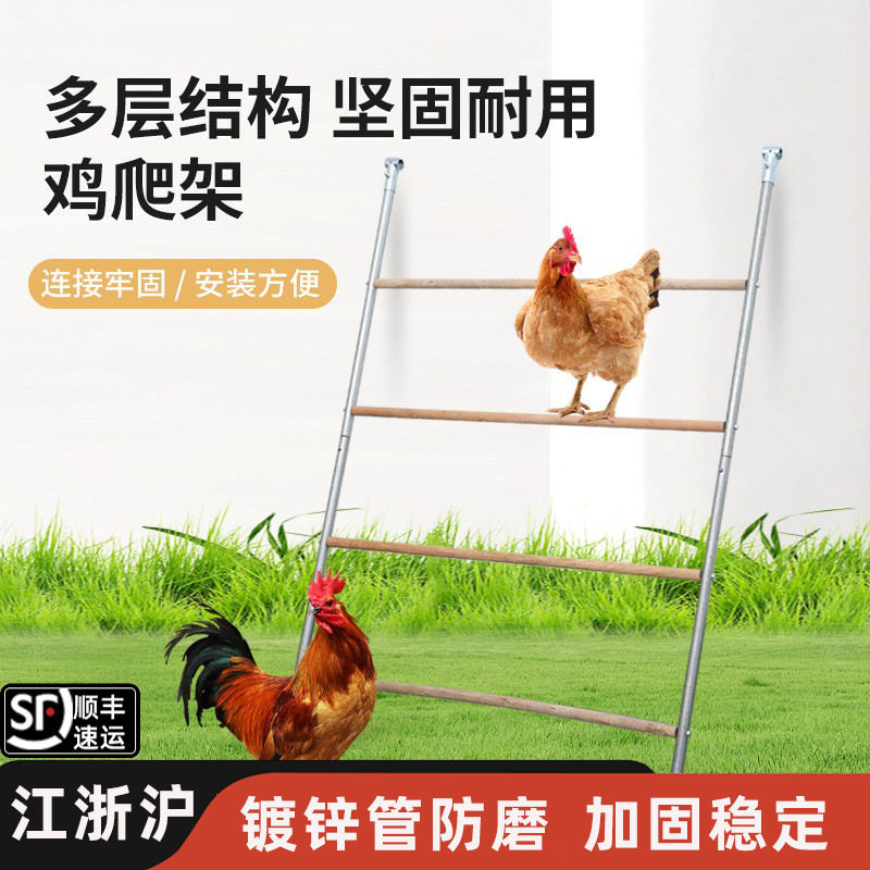 户外鸡睡觉的架子养鸡架子实木家禽鸡栖架爬梯镀锌管防磨脚鸡爬架