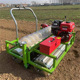 规格齐全汽油蔬菜精播机 十行免间苗青菜种植机 大棚育苗播种机