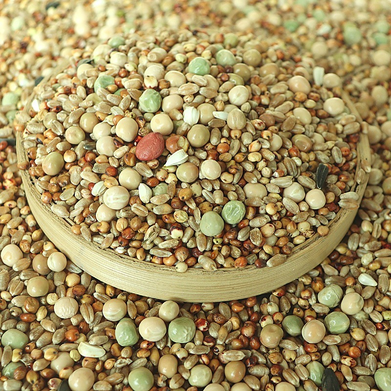 50斤鸽子粮无玉米鸽粮食营养饲料鸟食信鸽观赏鸽肉鸽幼鸽成鸽粮