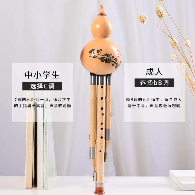 九孔葫芦丝专业演奏型 楠竹9孔云南超七八降b c调包邮成人儿童