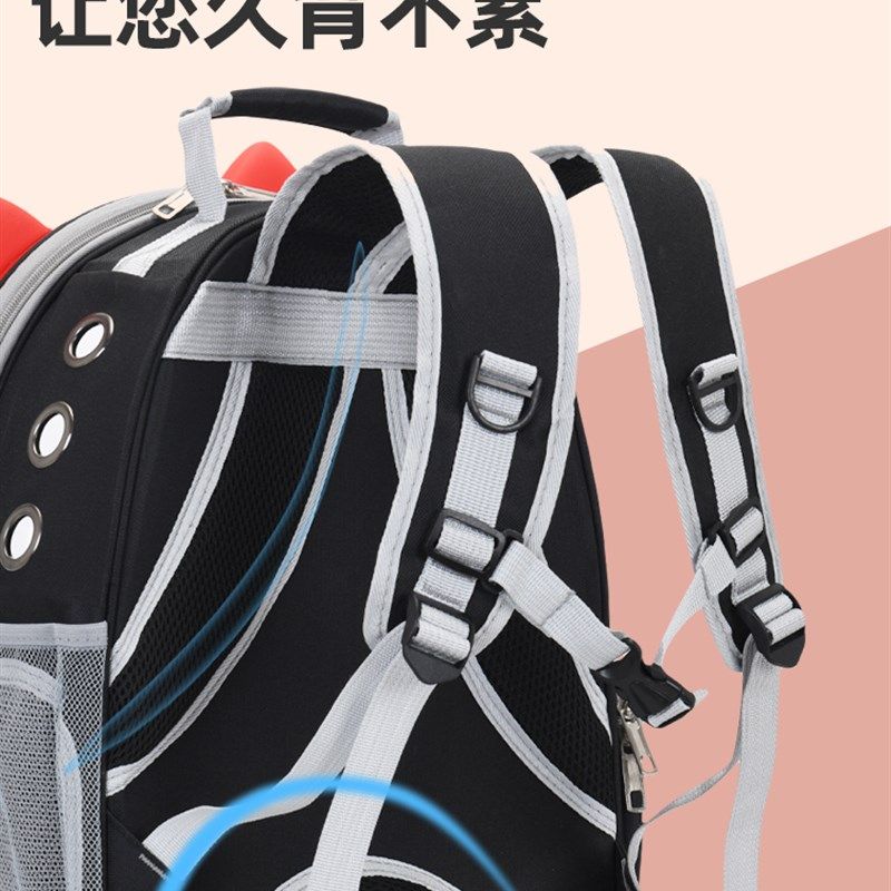 猫包外出便携包透明太空舱双肩猫咪背包猫书包大容量狗包宠物用品,宠物/宠物食品及用品,背包/箱包,淘宝优惠券,粉丝福利购,淘宝优惠卷