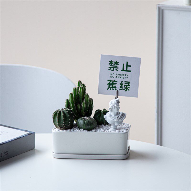 仙人掌组合盆栽多肉植物创意礼品桌面办公室绿植北欧风好养活阳台