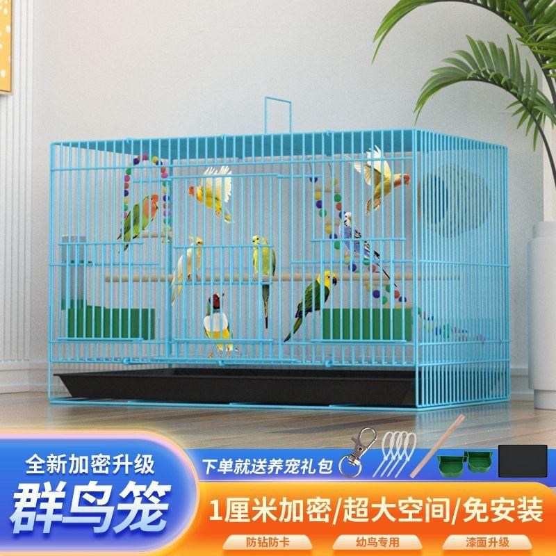 新疆西藏包邮鸟笼子鹦鹉八哥玄凤笼2023升级款加密金属折叠笼特大