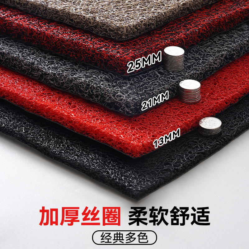 丝圈进门地垫 门口入门垫子PVC塑胶塑料入户加厚脚垫玄关丝圈地毯