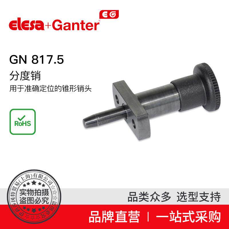 ElesaGanter伊莉莎冈特GN817.5用于精确定位的锥形销头