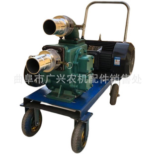 泄洪排涝抽水泵猪场粪池抽粪泵养殖场污水粪水抽粪泵泥浆泵