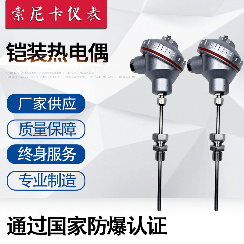 厂家铠装热电偶 K型热电偶 抽芯式铠装热电偶 探针式防爆热电偶